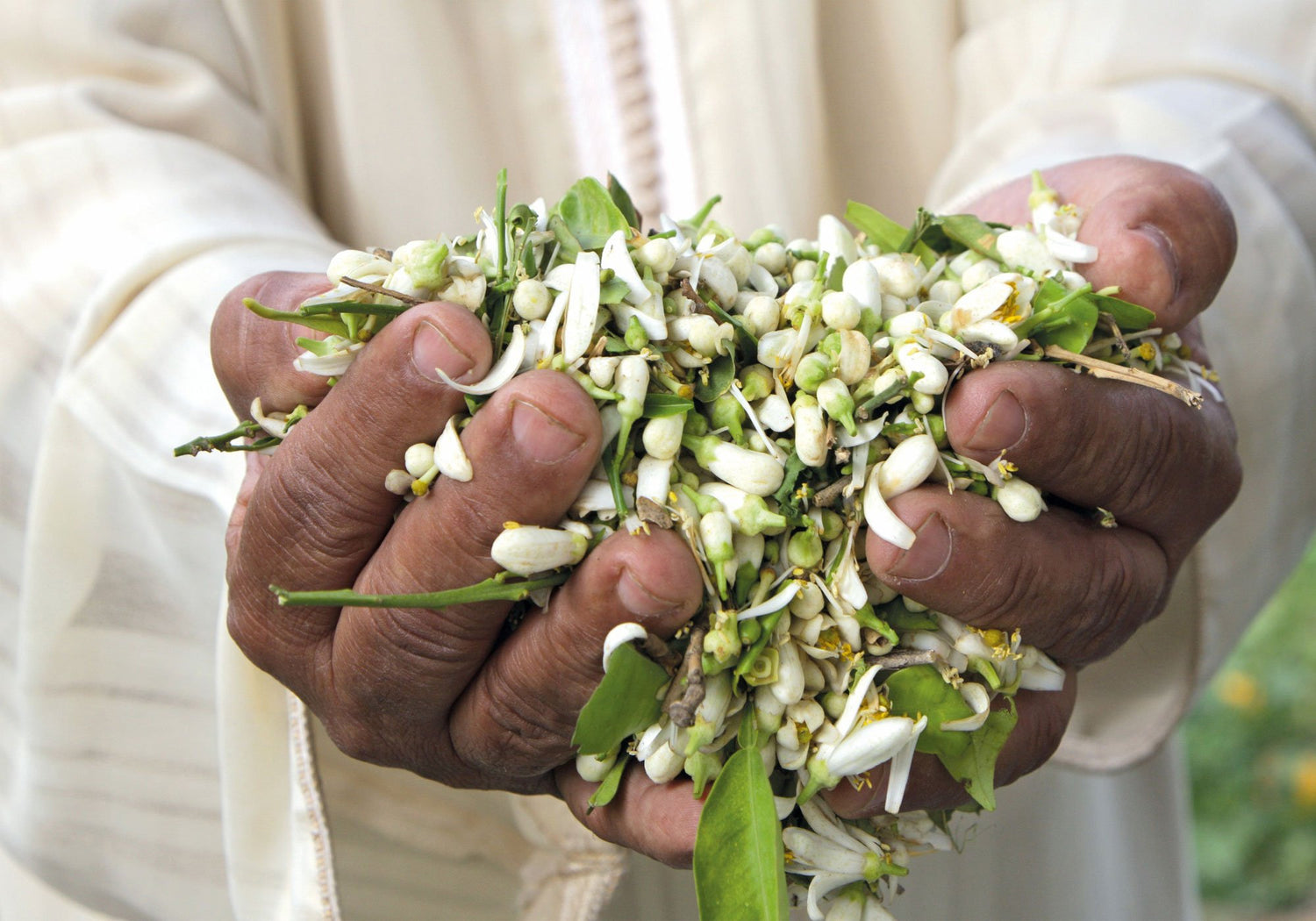 raw materials puressentiel