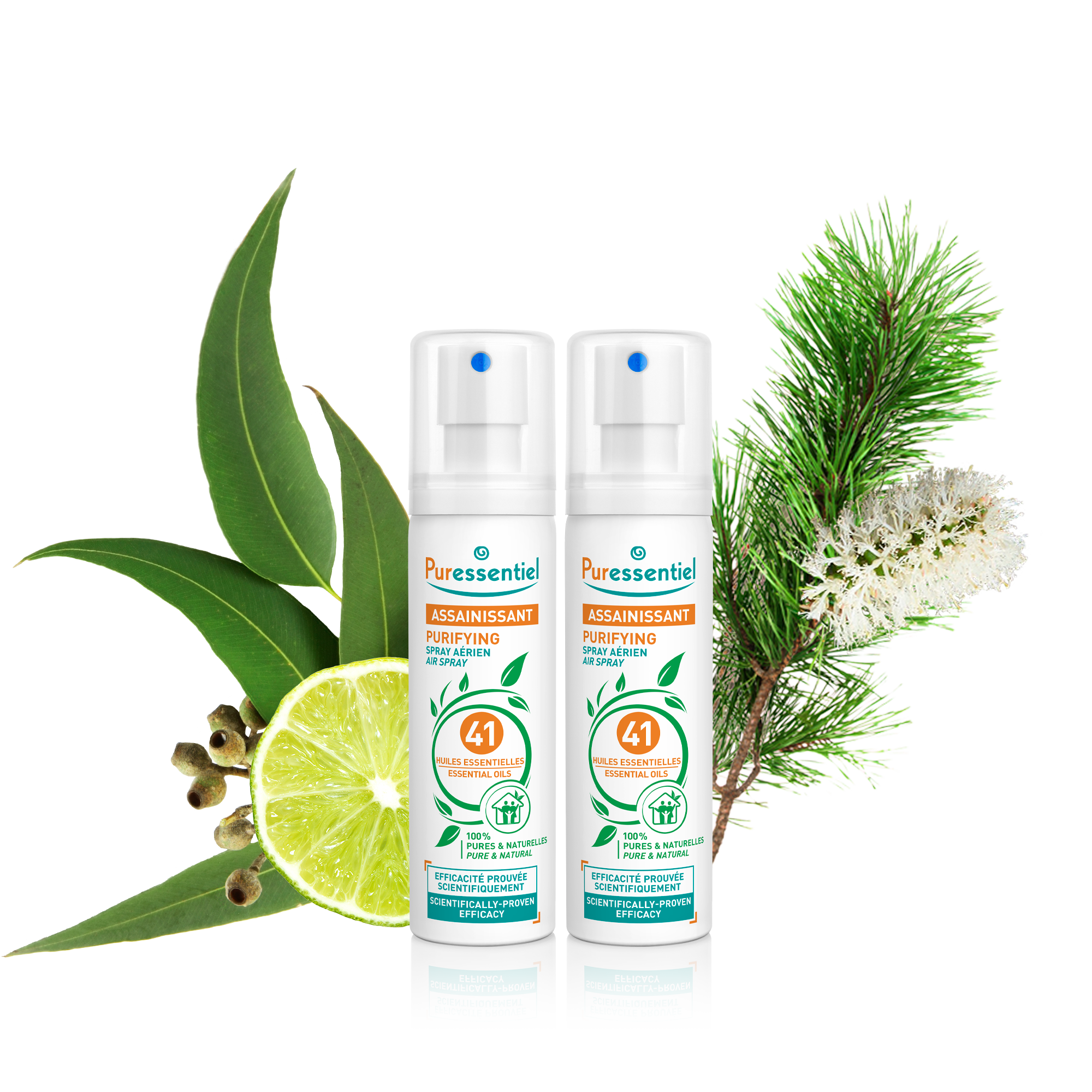 Duo Purifying Air Spray