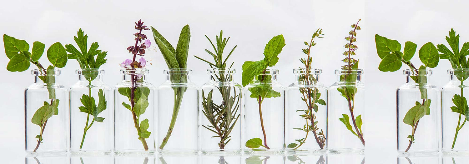 ingredients puressentiel plants