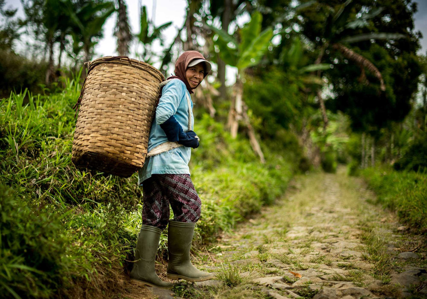 human rights commitments