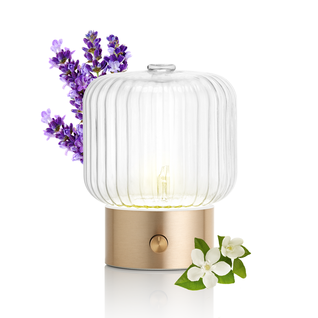 VERA Nebulising Diffuser