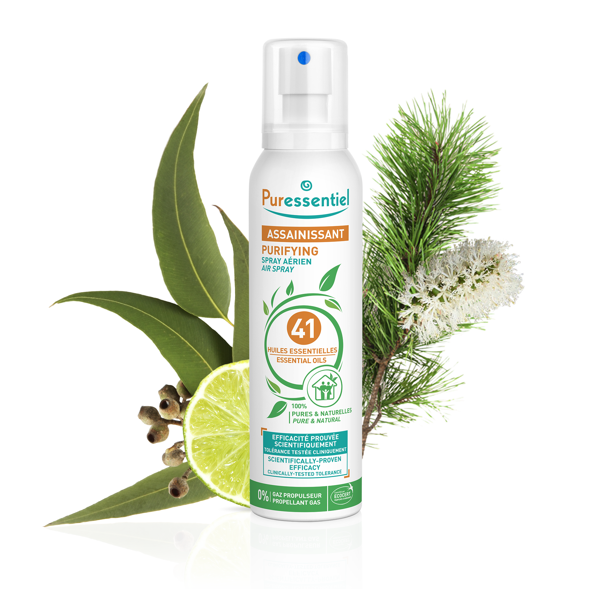 Purifying Air Spray