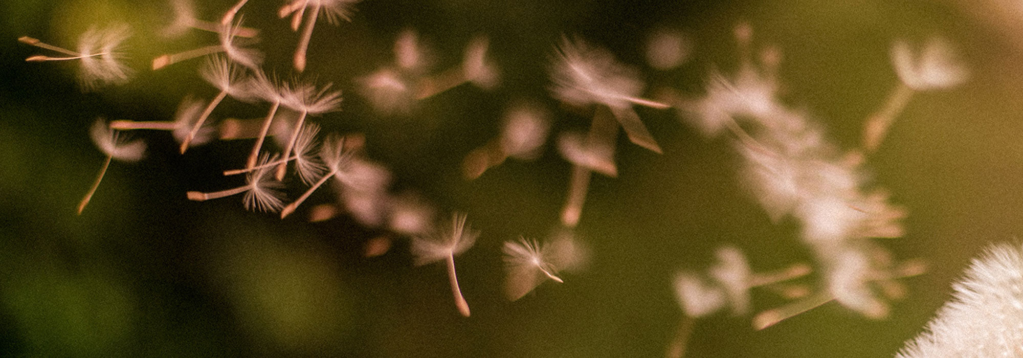 limit allergic rhinitis naturally