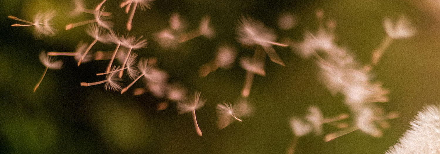 limit allergic rhinitis naturally