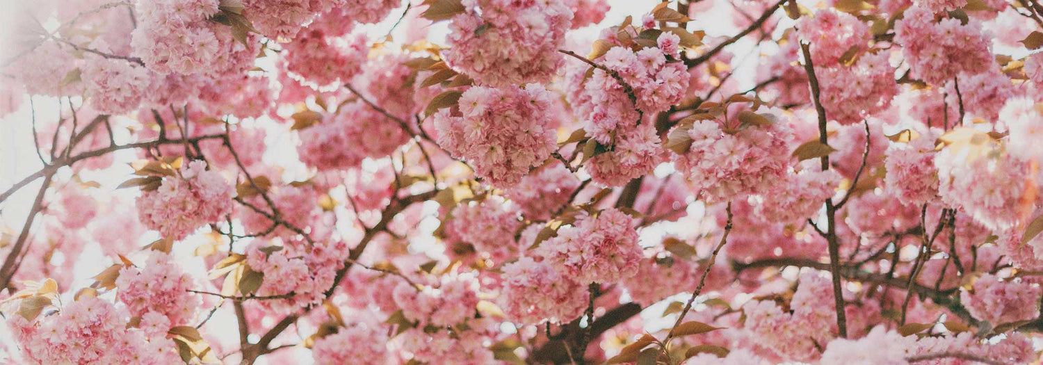 get radiant skin tips