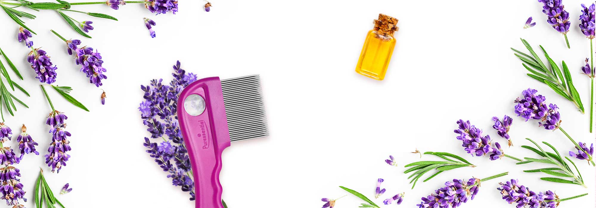 get rid of lice the natural way