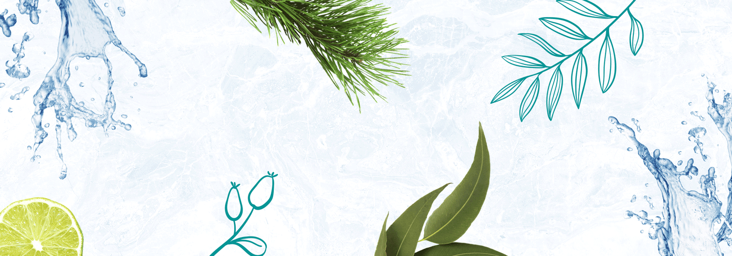 purify home tips spray diffusion