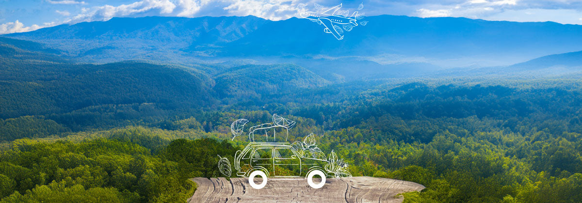 How can essential oils help combat motion sickness?