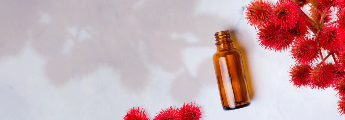 Castor Oil : Virtues and Uses