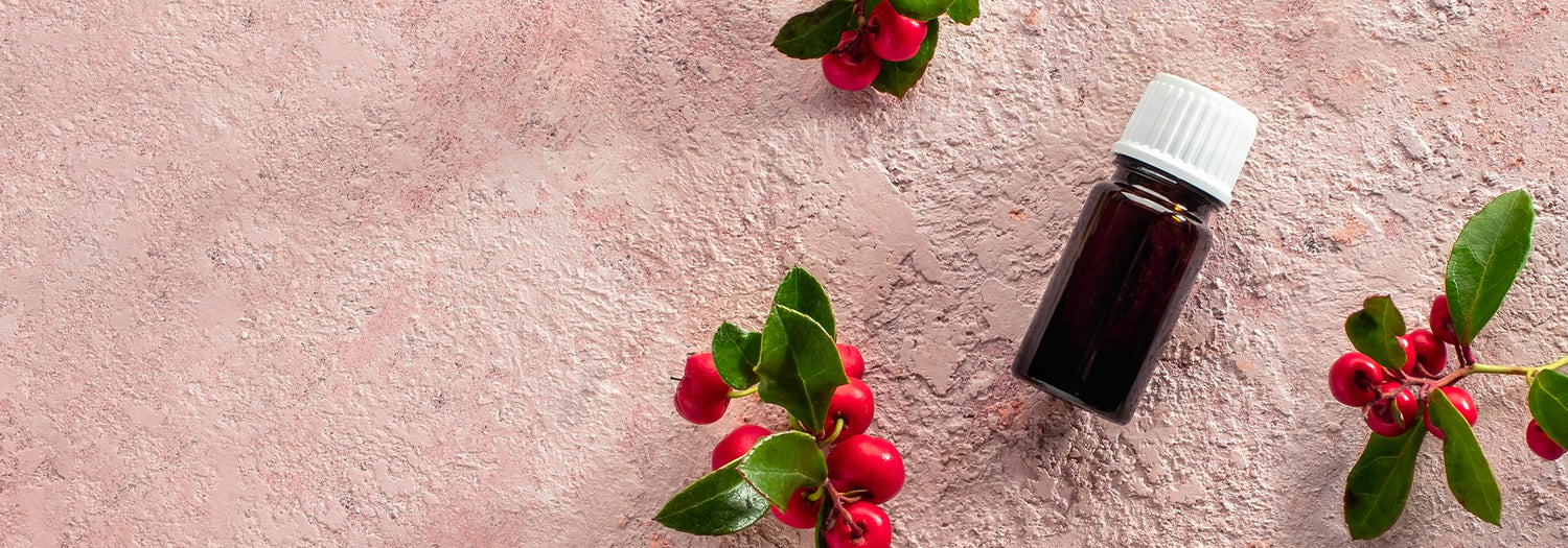 Wintergreen essential oil: virtues and uses