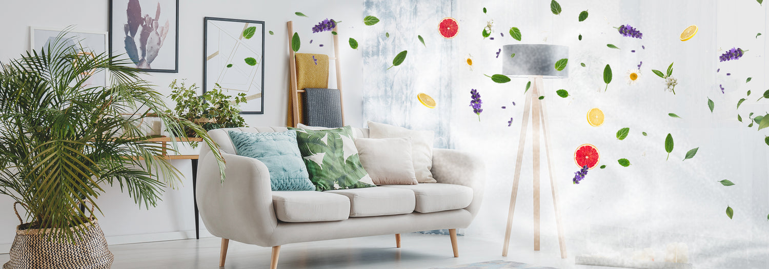 Why and how to humidify the air in your home?