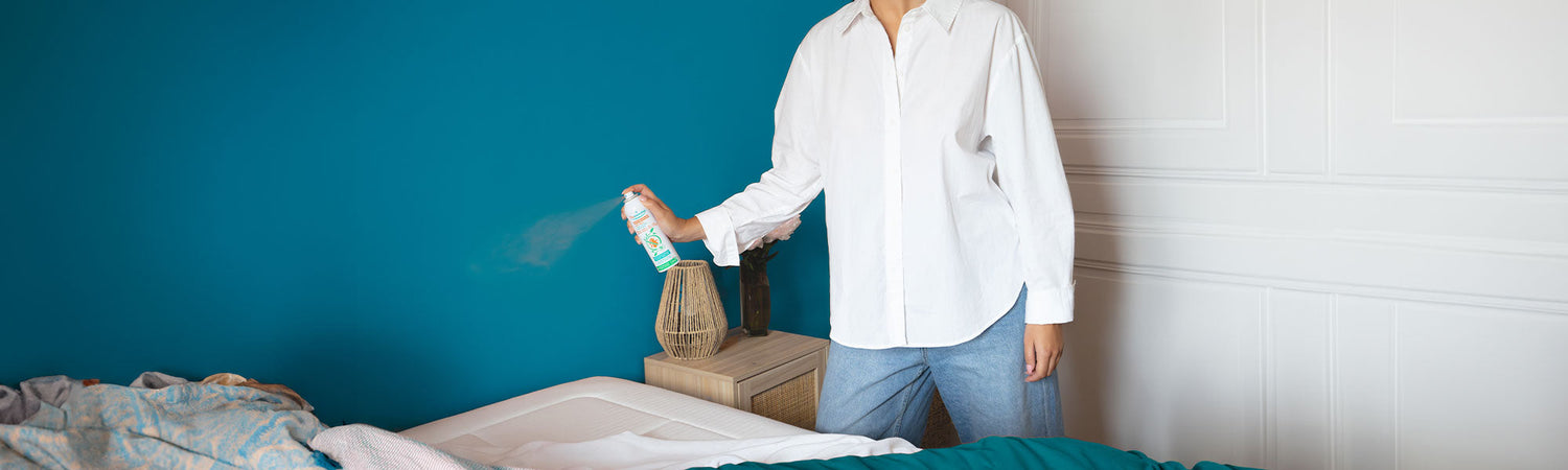 How to deal with house pests and beat allergies