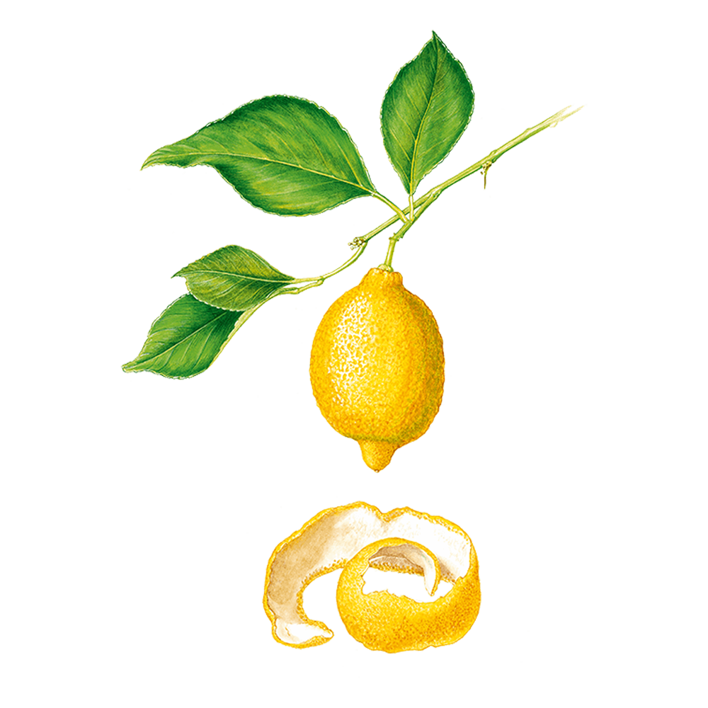 lemon essential oil benefits