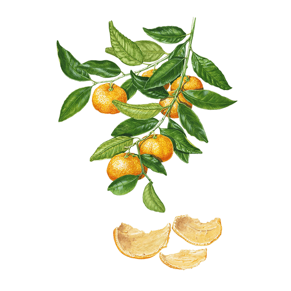 mandarin essential oil benefits