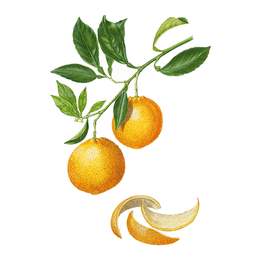 sweet orange benefits