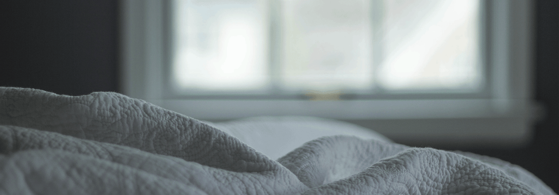 How to deal with house pests and beat allergies