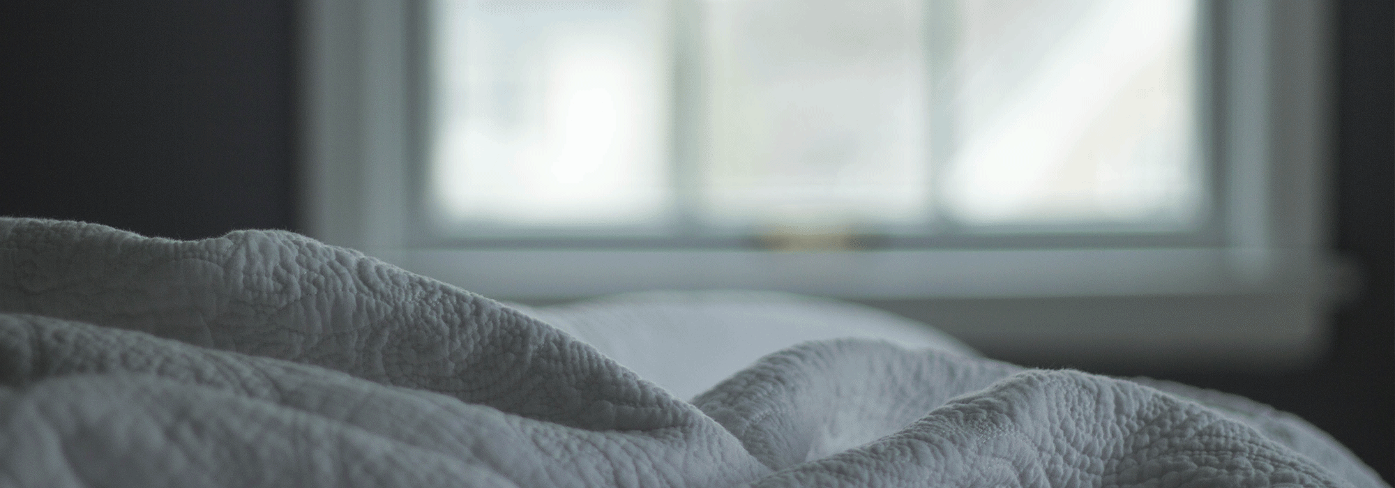 How to deal with house pests and beat allergies