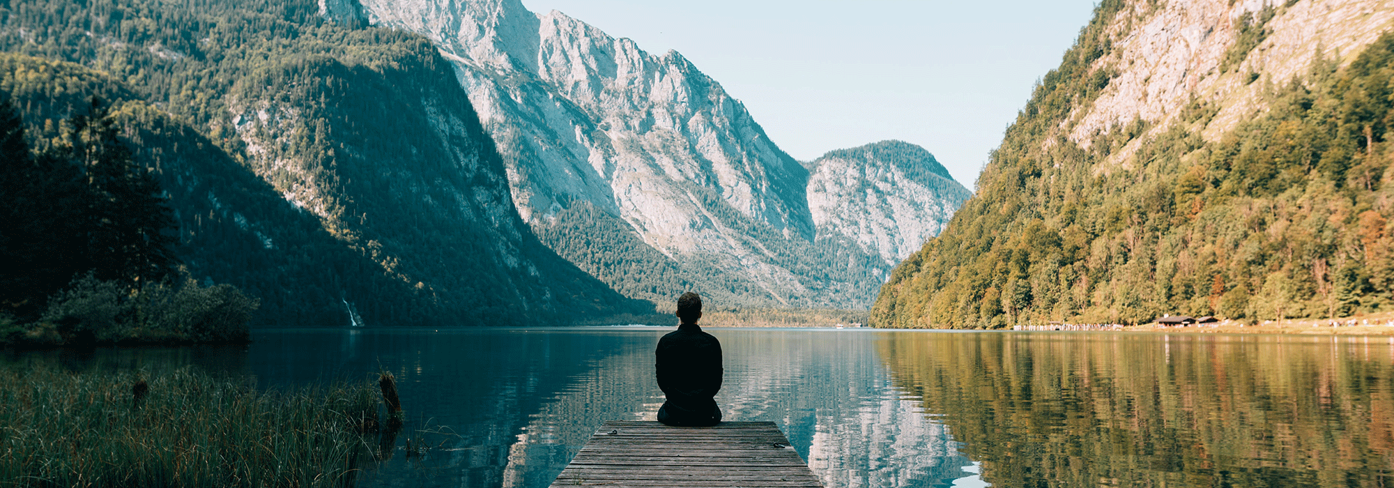 handle emotions essential oils natural