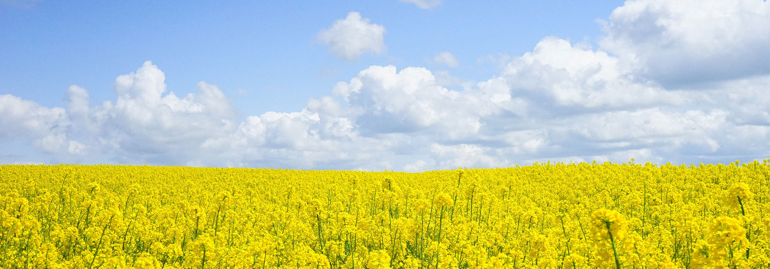 Dr Tim Bond – Ways to reduce pollen exposure