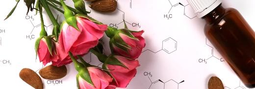 Which vegetable oil should you use for which need? Virtues, precautions for use and recipes