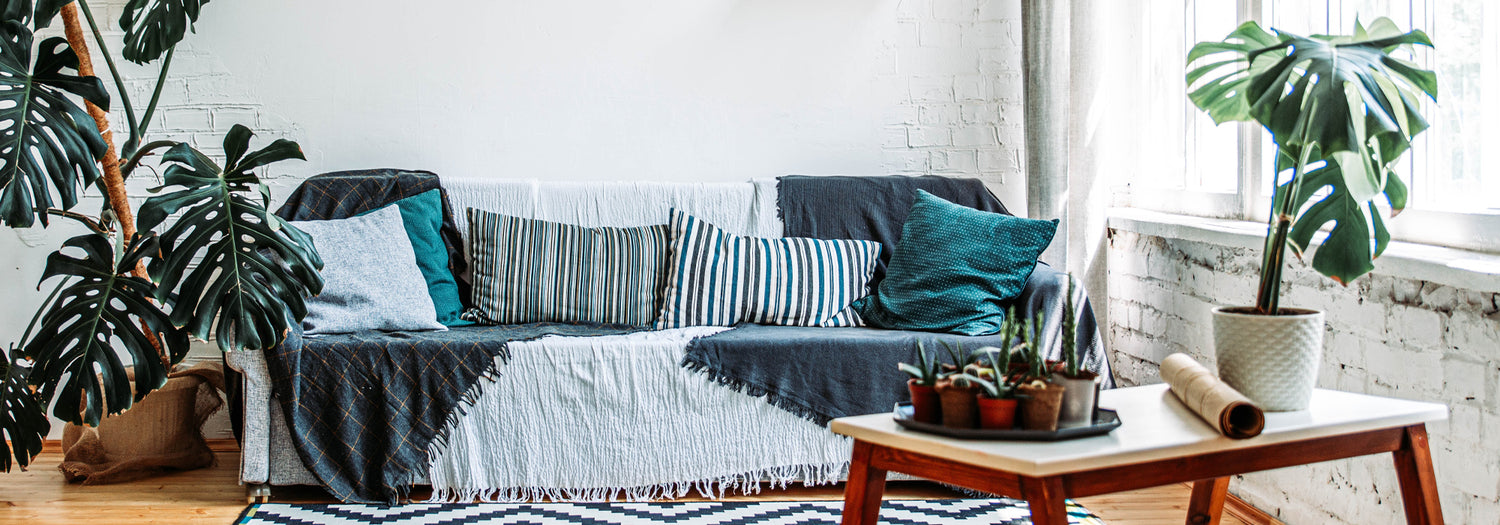 How to get rid of dust mites naturally?