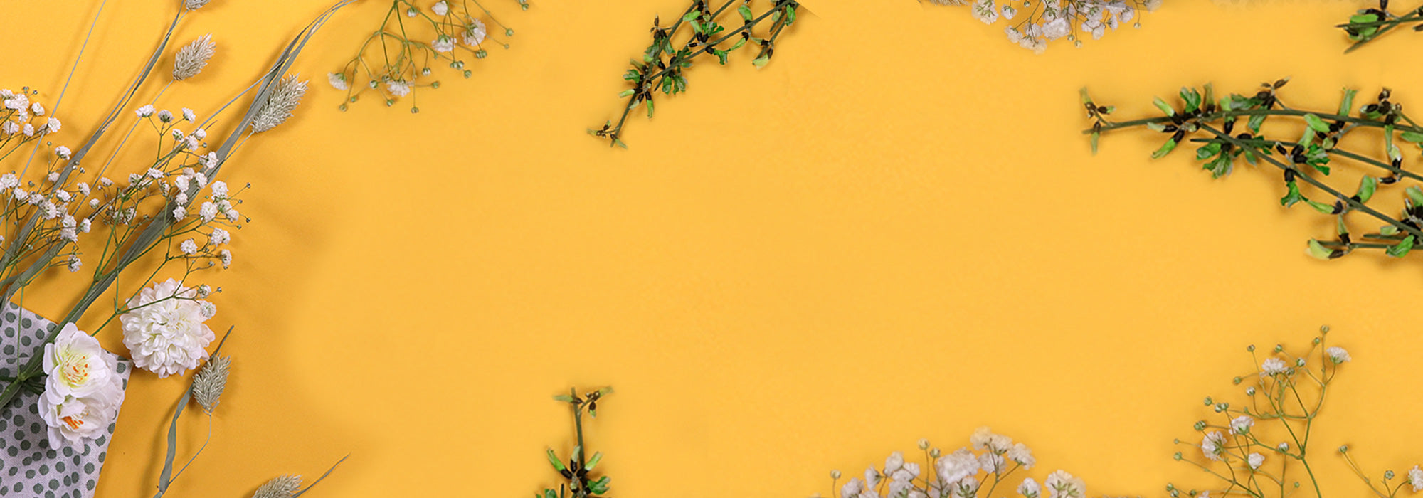 The allergic rhinitis routine