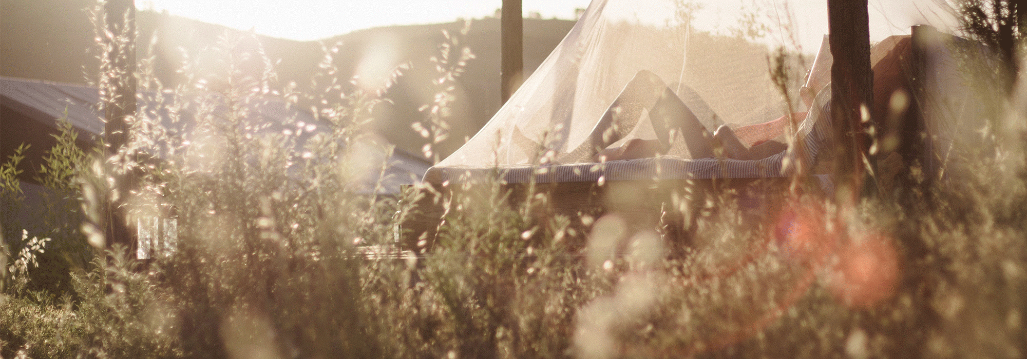 repel mosquitoes naturally