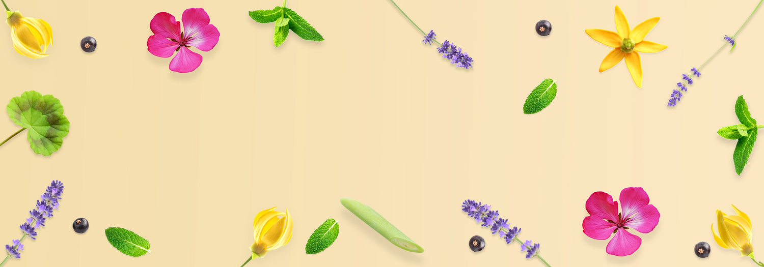 Which essential oils are essential in the summer and why?
