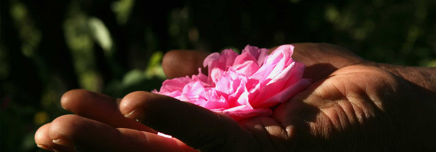 natural cosmetics puressentiel