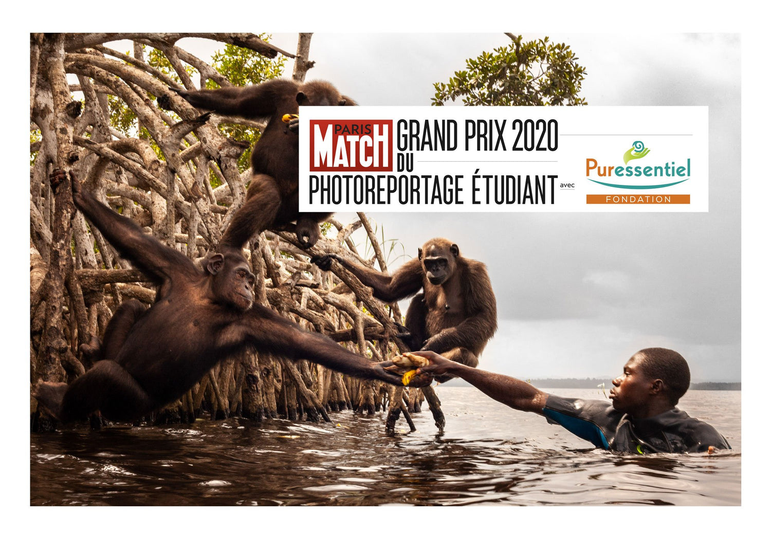 paris match puressentiel 