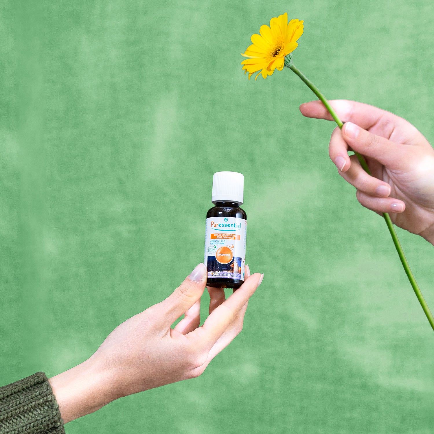 Essential Oils For Diffusion Cocooning Blend