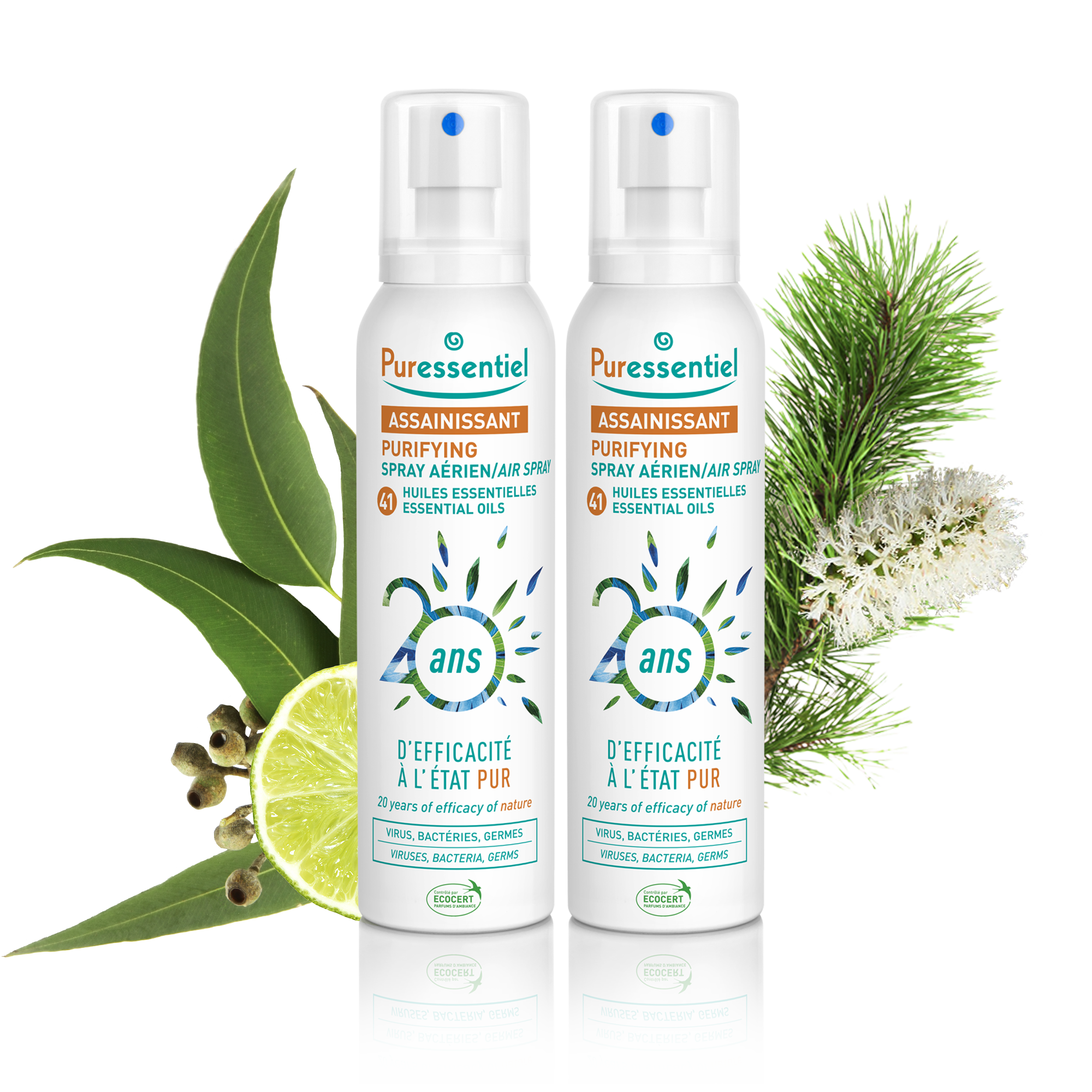 Duo Purifying Air Spray