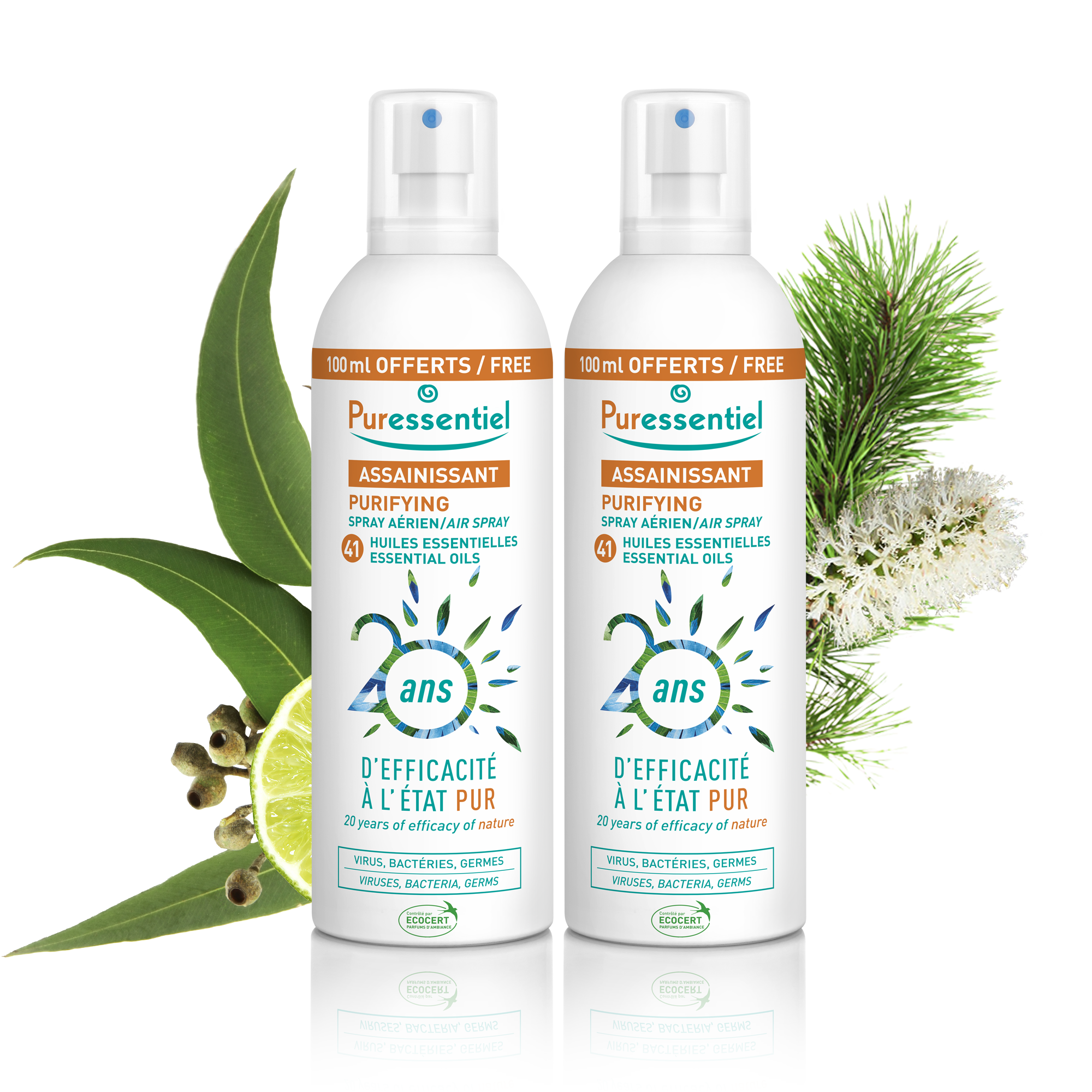 Duo Purifying Air Spray