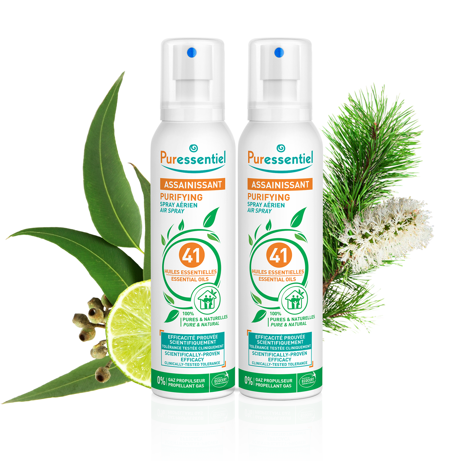 Duo Purifying Air Spray