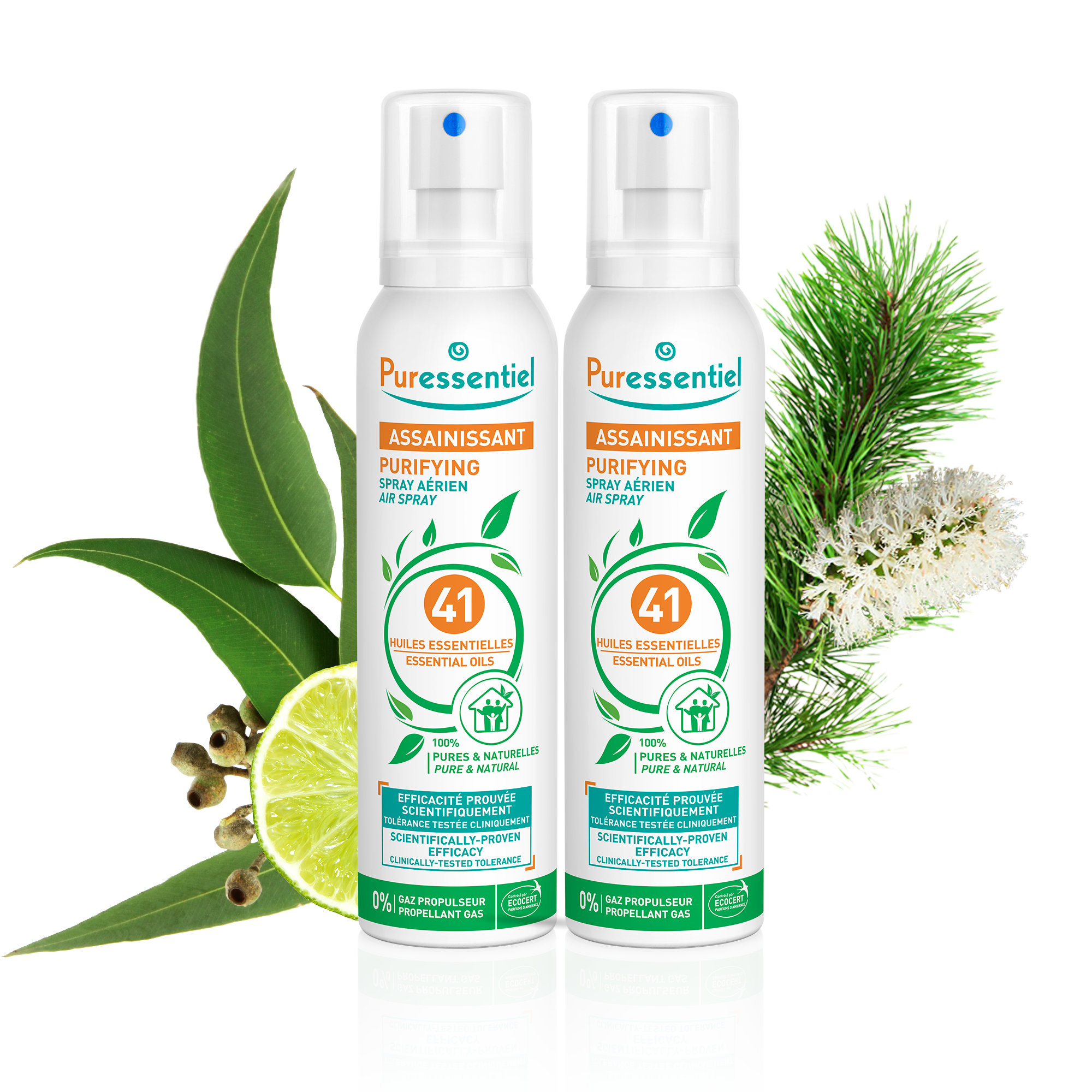 Duo Purifying Air Spray