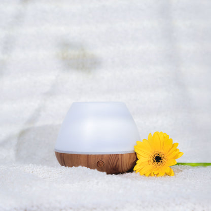 Ultrasonic Humidifier Diffuser ORSO