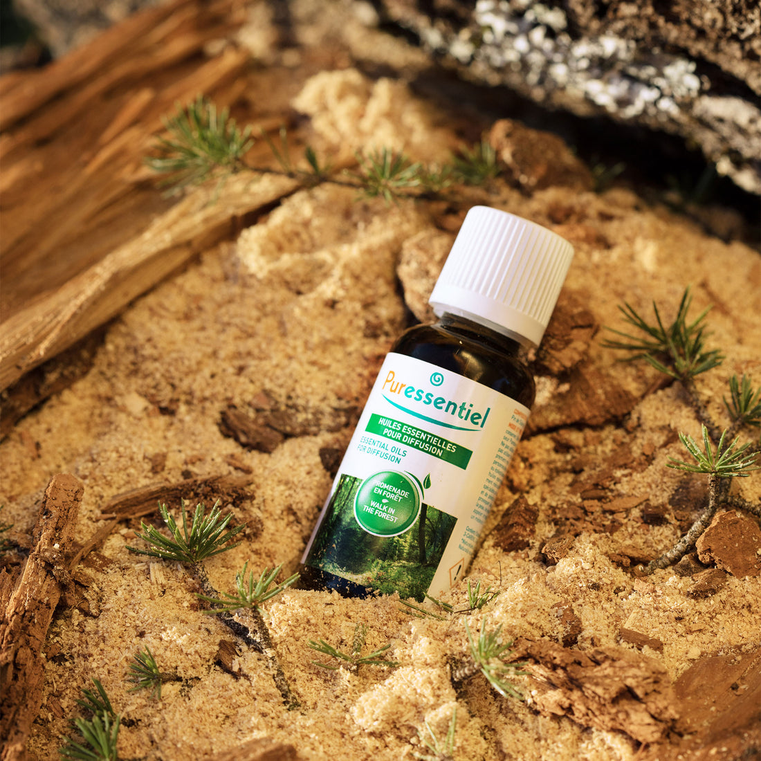 Essential Oils For Diffusion Walk In the Forest Blend