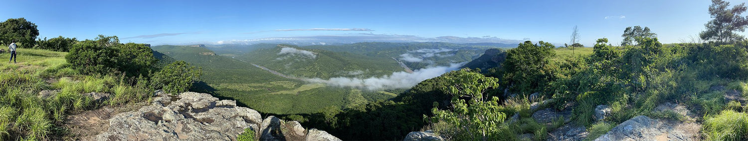 commitment puressentiel nature desktop