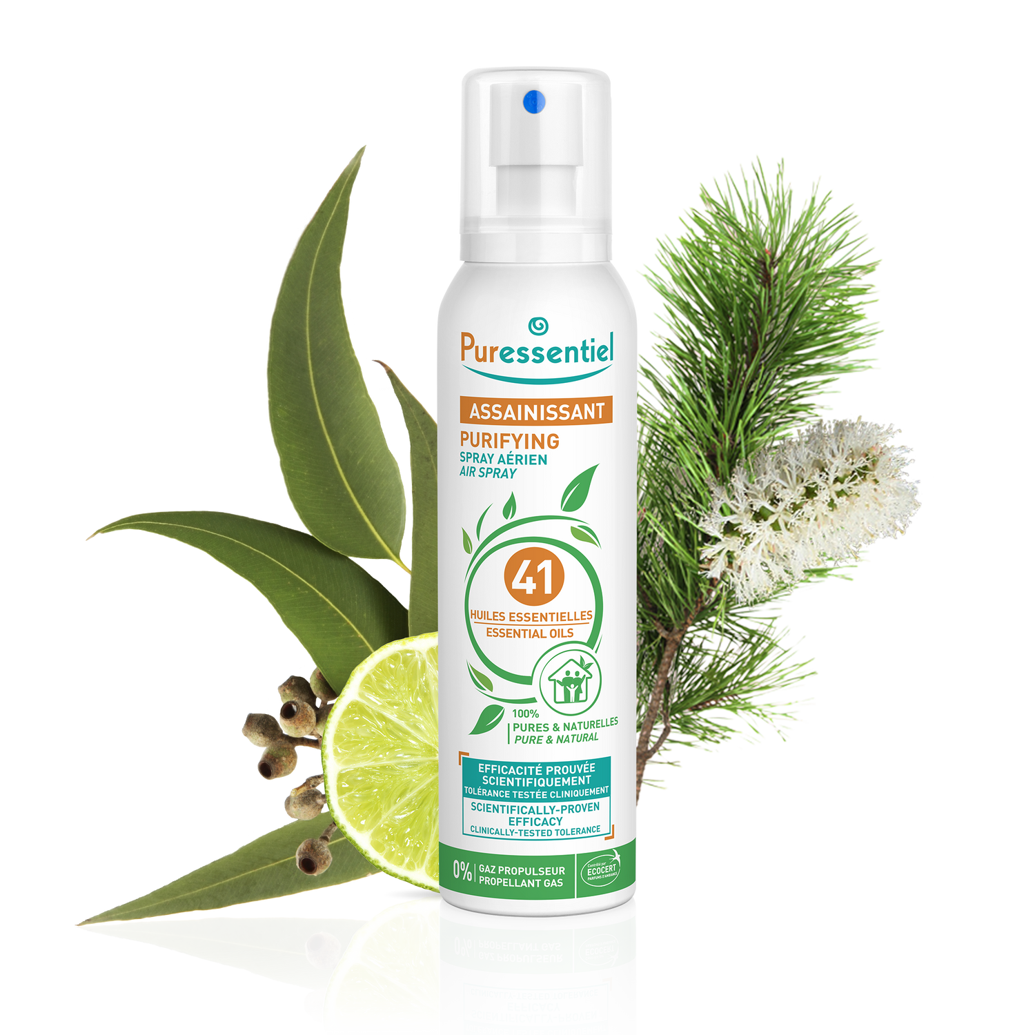 Purifying Air Spray