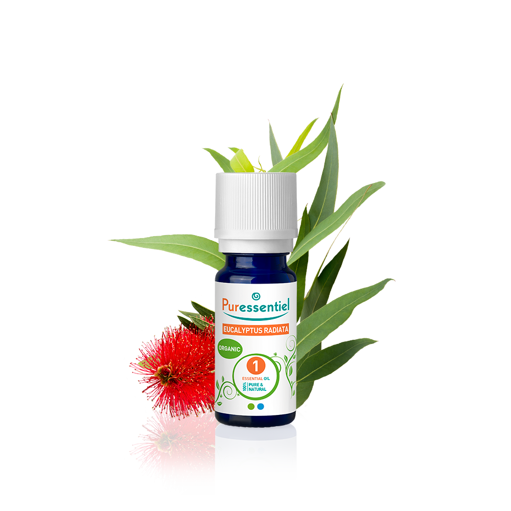 Organic Eucalyptus Radiata Essential Oil Puressentiel