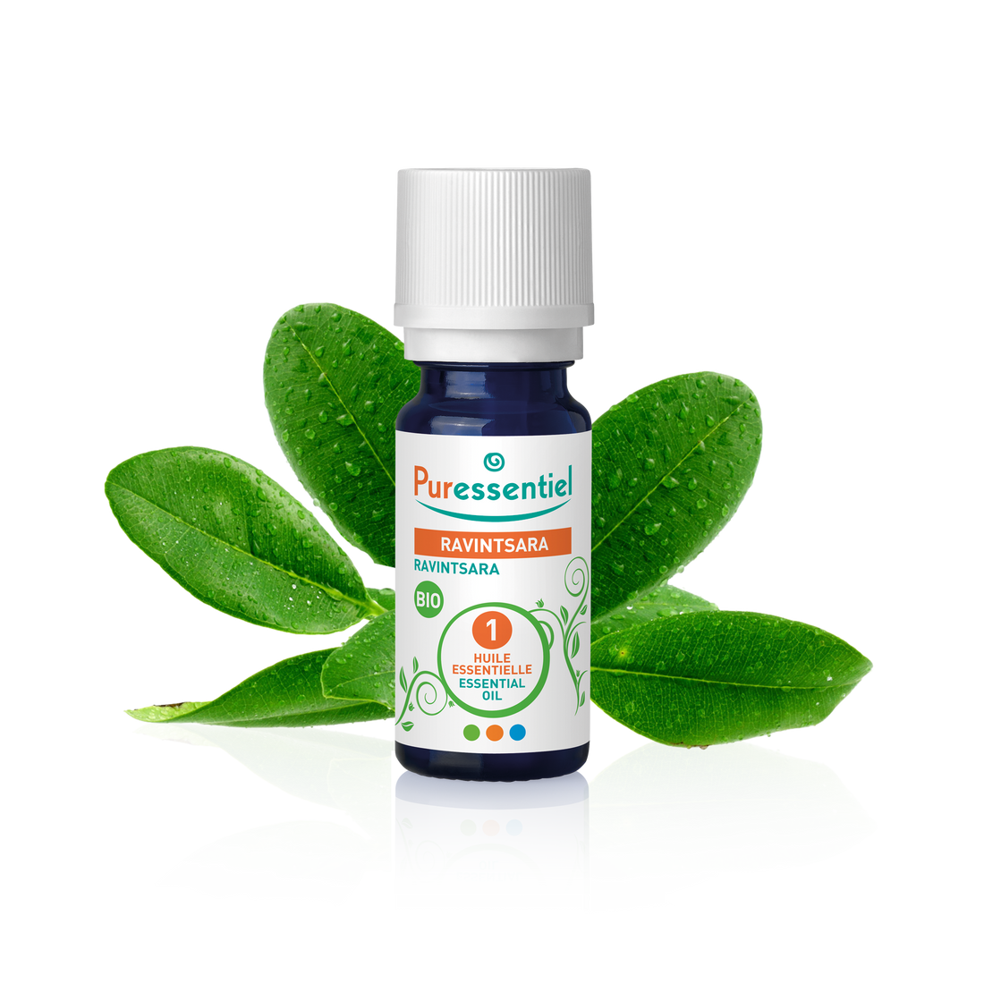 Organic Ravintsara Essential Oil