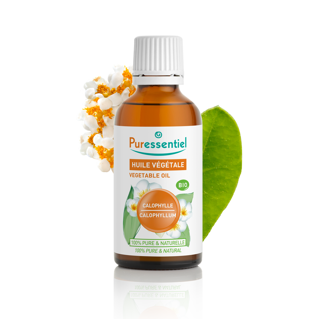 Organic Vegetable Oil Calophyllum
