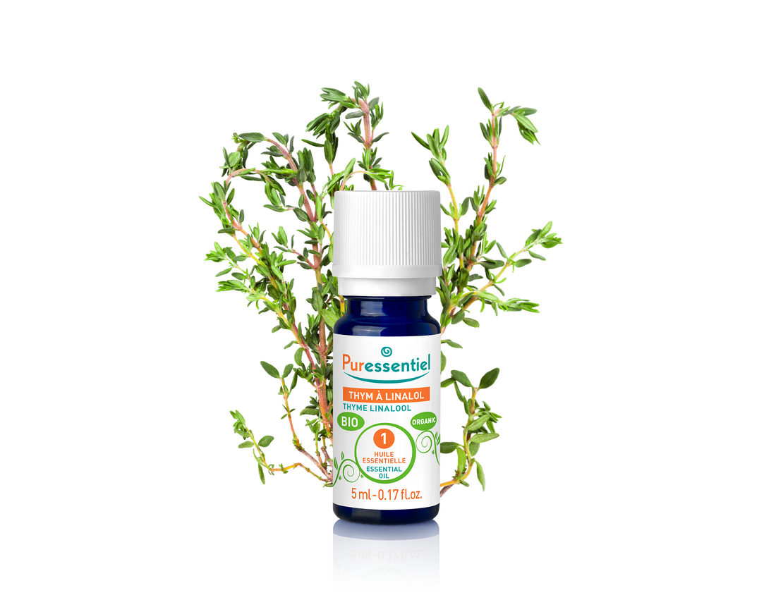 Organic Thyme Linalool Essential Oil
