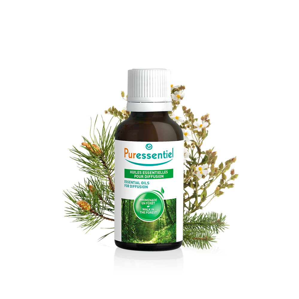 Essential Oils For Diffusion Walk In the Forest Blend